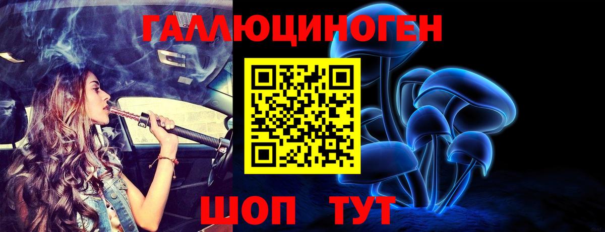 Псилоцибиновые грибы мухоморы Армавир