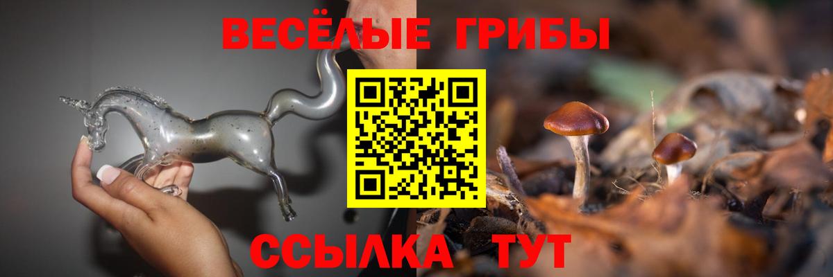 Псилоцибиновые грибы GOLDEN TEACHER  Вход с VPN  Армавир 